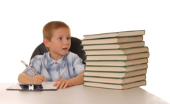 Anglicko český slovník online